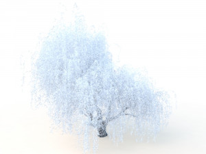 willowv2 3D Модель