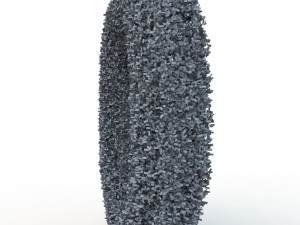 hedge 0 Model 3D