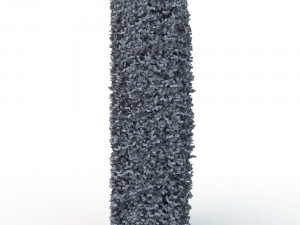 hedge 0 Model 3D