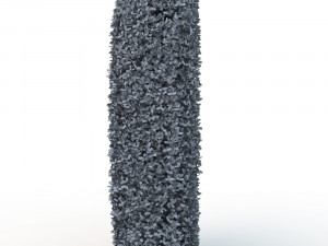 hedge 0 Model 3D