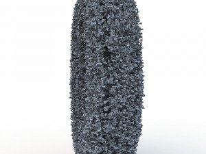 hedge 0 Model 3D