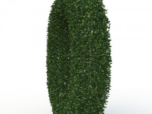 hedge 0 Model 3D