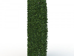 hedge 0 Model 3D