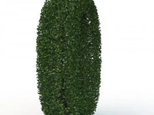 hedge 0 3D Model