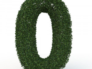 hedge 0 Model 3D