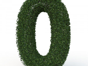 hedge 0 Model 3D
