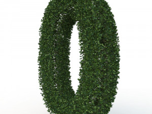 hedge 0 Model 3D