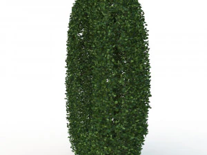 hedge 0 3D Model