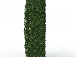 hedge 0 3D Model