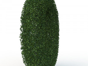 hedge 0 Model 3D