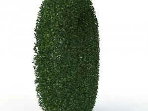 hedge 0 3D Model