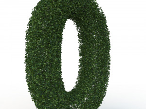 hedge 0 Model 3D