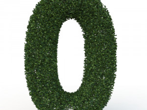 hedge 0 Model 3D