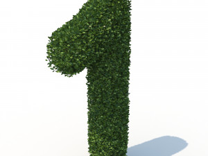 hedge 1 3Dモデル
