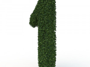 hedge 1 3D 모델