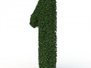 hedge 1 3D Model