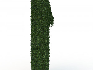 hedge 1 3D 모델