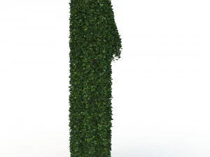 hedge 1 3D Model