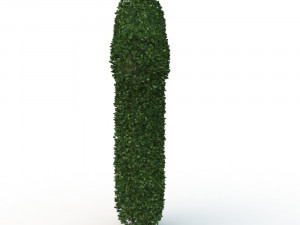 hedge 1 3D 모델