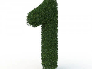 hedge 1 3D Model