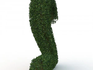 hedge 2 3D Model