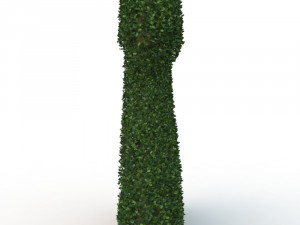 hedge 2 Model 3D
