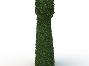 hedge 2 3D Model