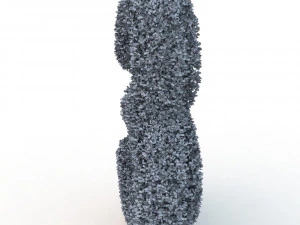 hedge 3 3D Model