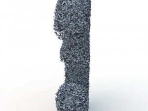 hedge 3 3D Model