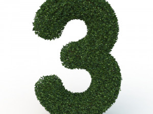 hedge 3 3D 모델