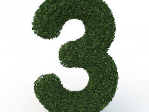 hedge 3 3D Model