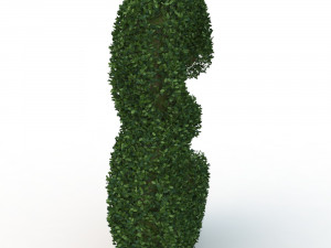 hedge 3 3D 모델