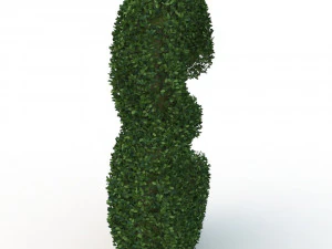 hedge 3 3D Model