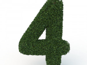 hedge 4 3D Model