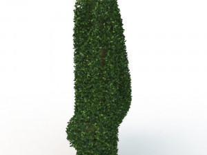 hedge 4 Modelo 3D