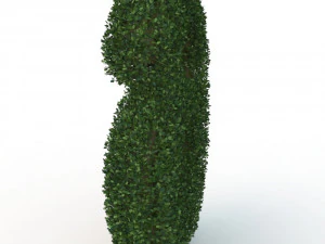 hedge 6 3D Model