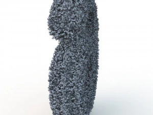 hedge 6 3D Model