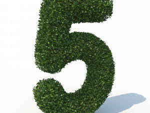 hedge 5 3D Model
