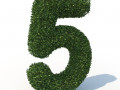 Hedge 5 3D-Modell