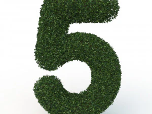 hedge 5 3D Model