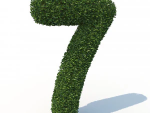 hedge 7 3D Model