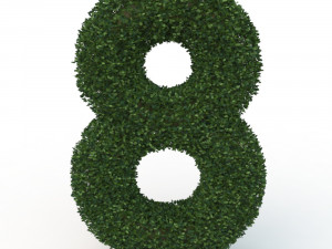 hedge 8 Model 3D