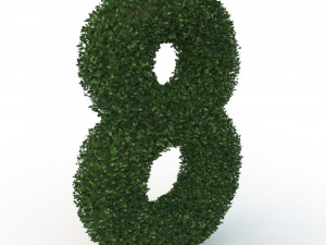 hedge 8 Model 3D