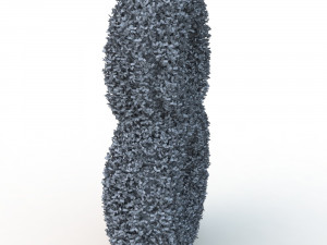 hedge 8 Model 3D