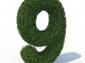 Hedge 9 3D-Modell