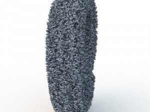 hedge 9 3D Model
