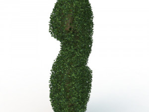 hedge 3D 模型
