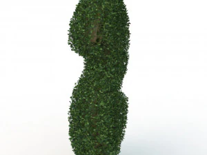 hedge 3D Model