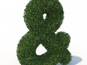 hedge 3D-Modell