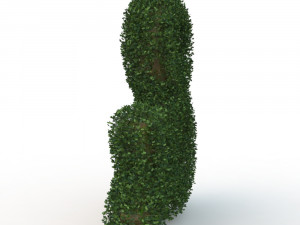 hedge Modelo 3D